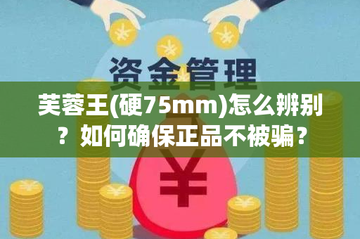 芙蓉王(硬75mm)怎么辨别？如何确保正品不被骗？